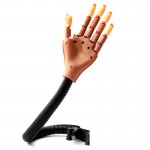 Bàn tay giả có khớp Nail Training Hand